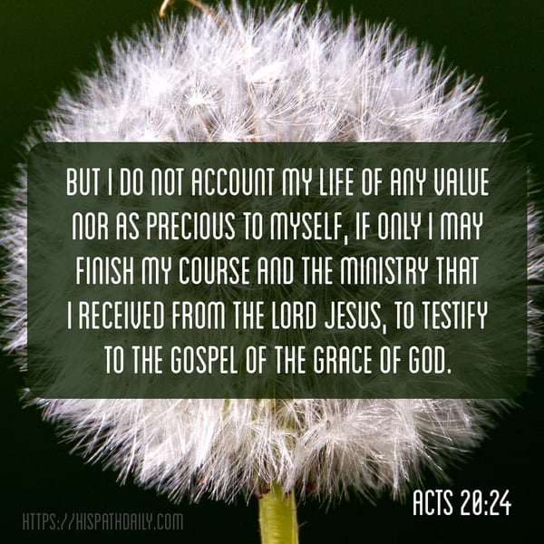 A dandelion seed head with Acts 20:24 about finishing the ministry received from Jesus and testifying to God’s grace.